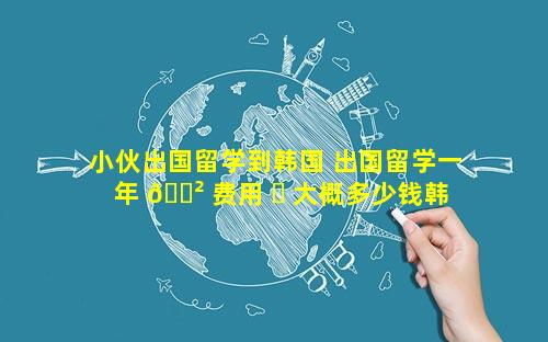 小伙出国留学到韩国 出国留学一年 🌲 费用 ☘ 大概多少钱韩国